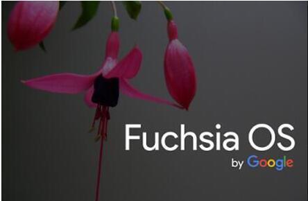 谷歌Fuchsia 操作系统将支持运行 Linux 应用程序